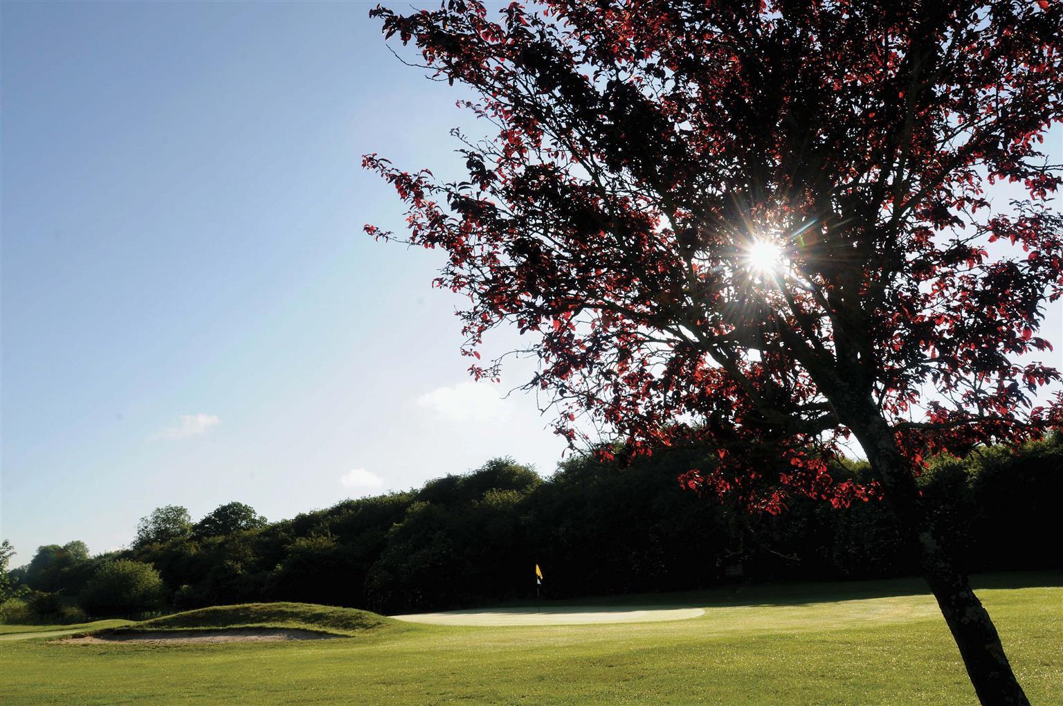 Best Western Plus Ullesthorpe Court Hotel & Golf Club Lutterworth Kemudahan gambar